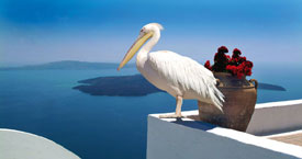 Le magnifiche isole greche scorci di mediterraneo unico